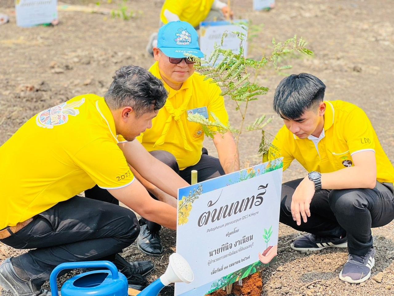 ภาพประกอบที่ 3