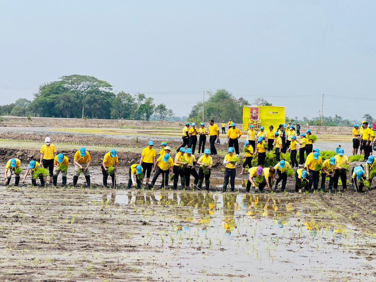 ภาพประกอบที่ 6