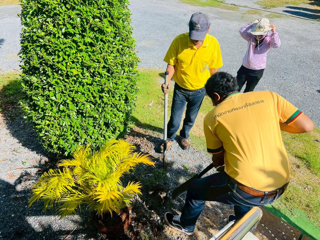 ภาพประกอบที่ 0