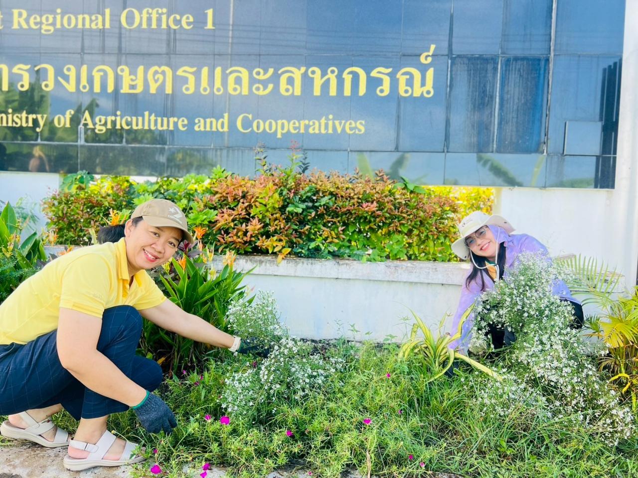 ภาพประกอบที่ 3