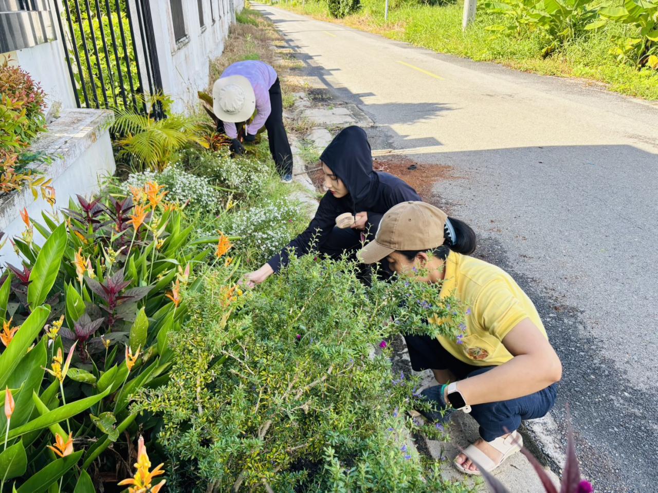 ภาพประกอบที่ 7