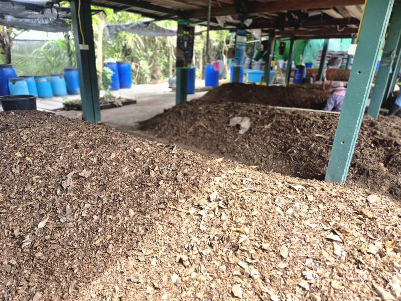 ภาพประกอบที่ 6