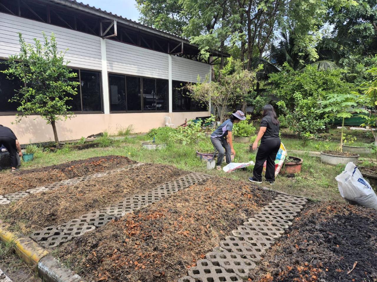 ภาพประกอบที่ 3