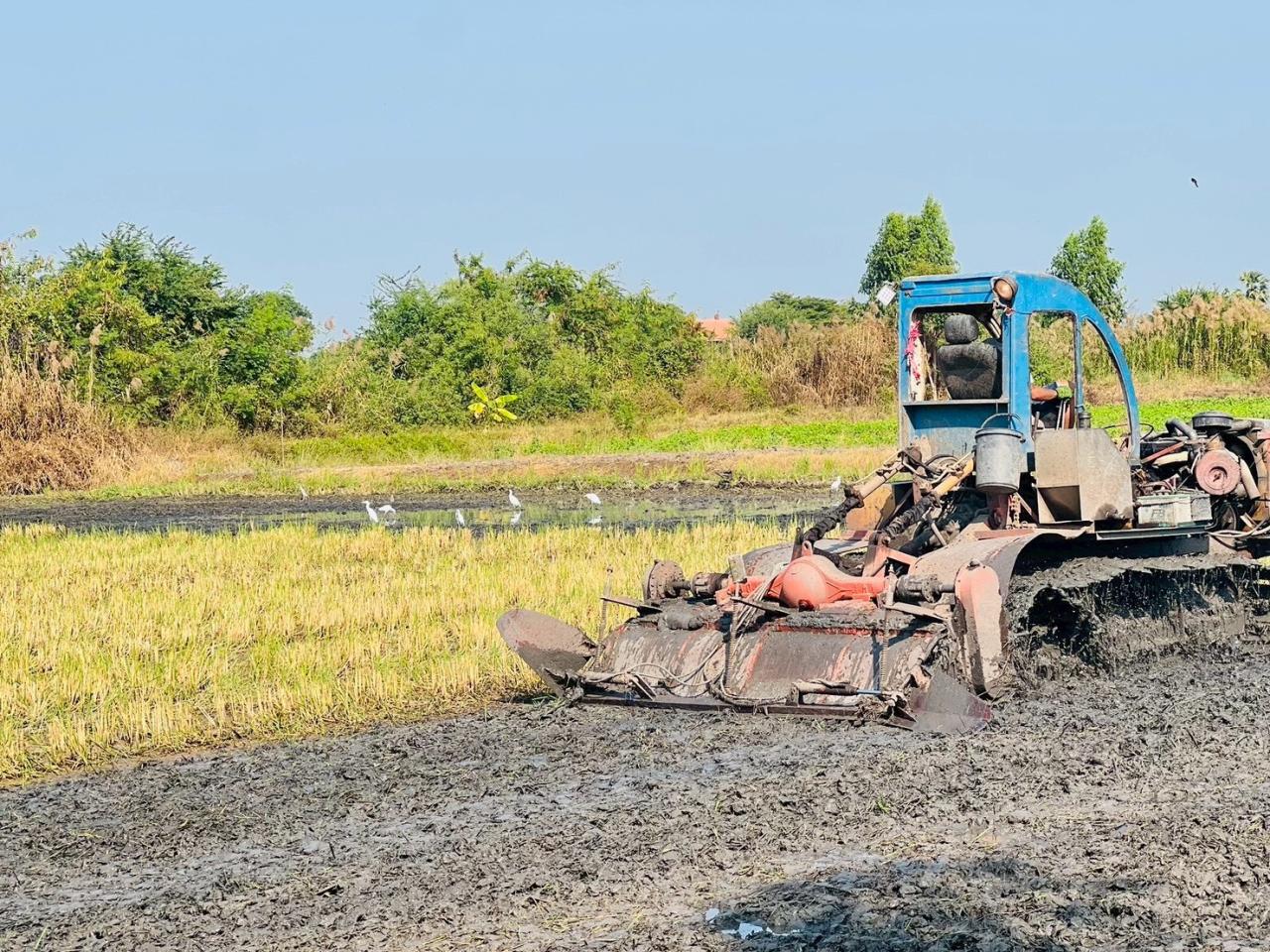 ภาพประกอบที่ 7