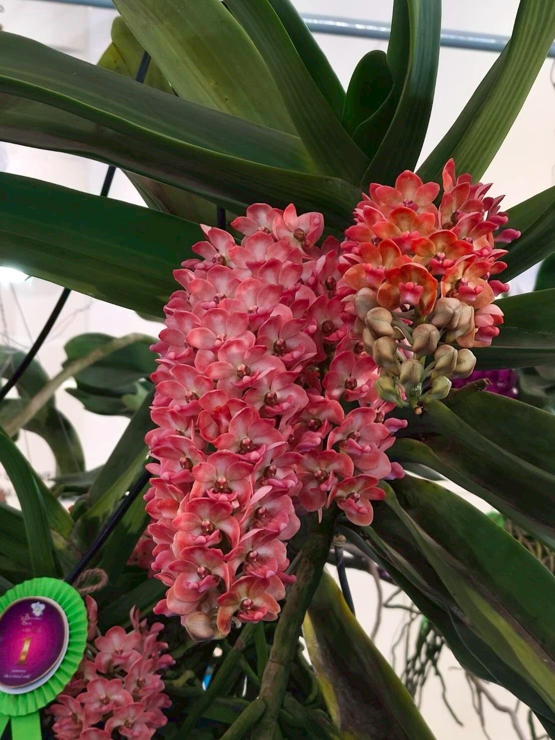 ภาพประกอบที่ 7