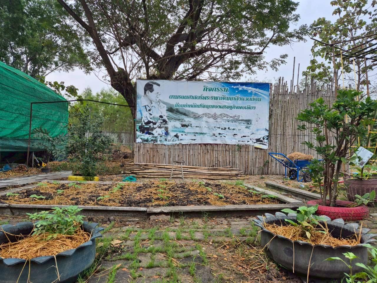 ภาพประกอบที่ 3