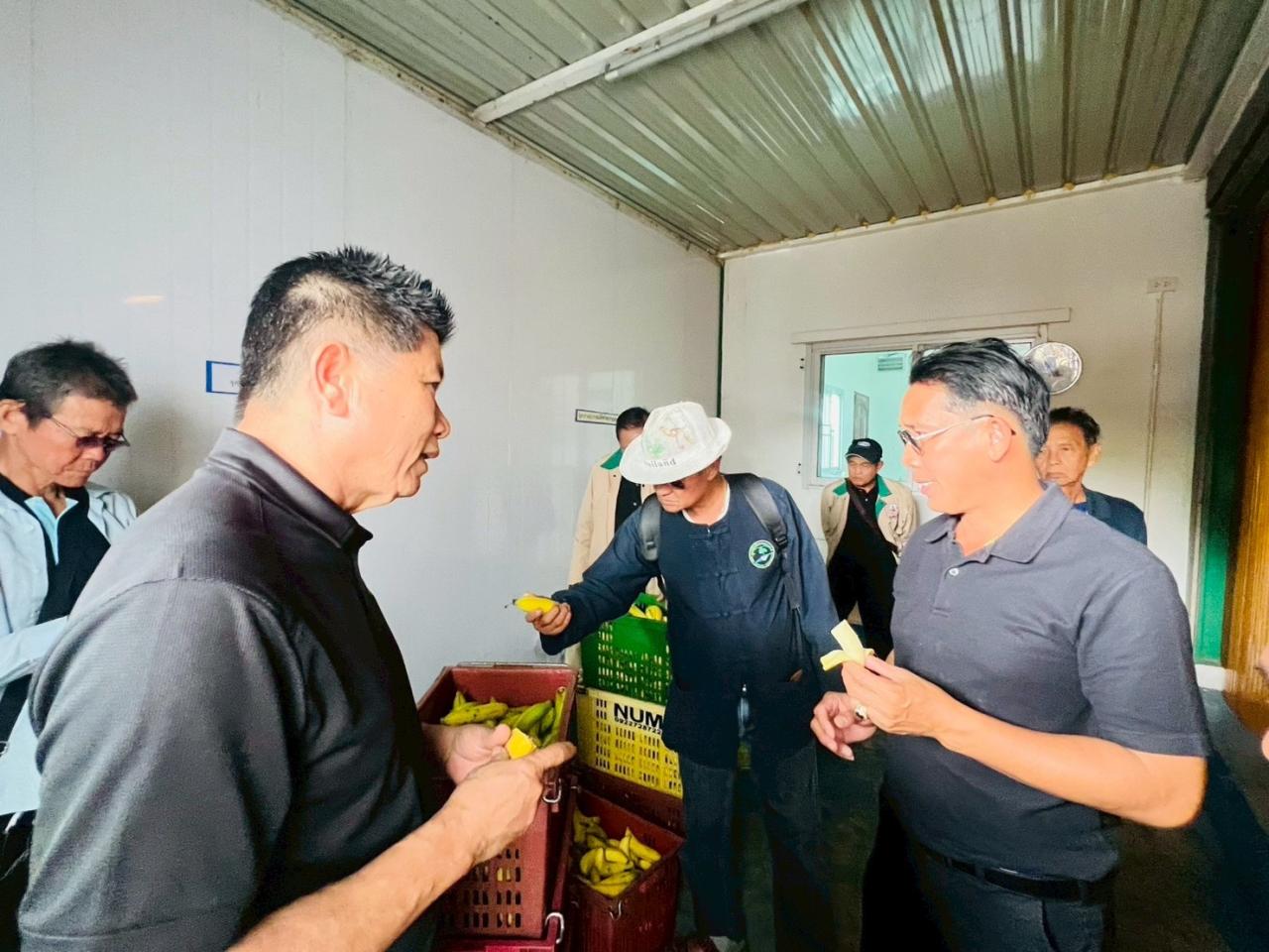 ภาพประกอบที่ 3