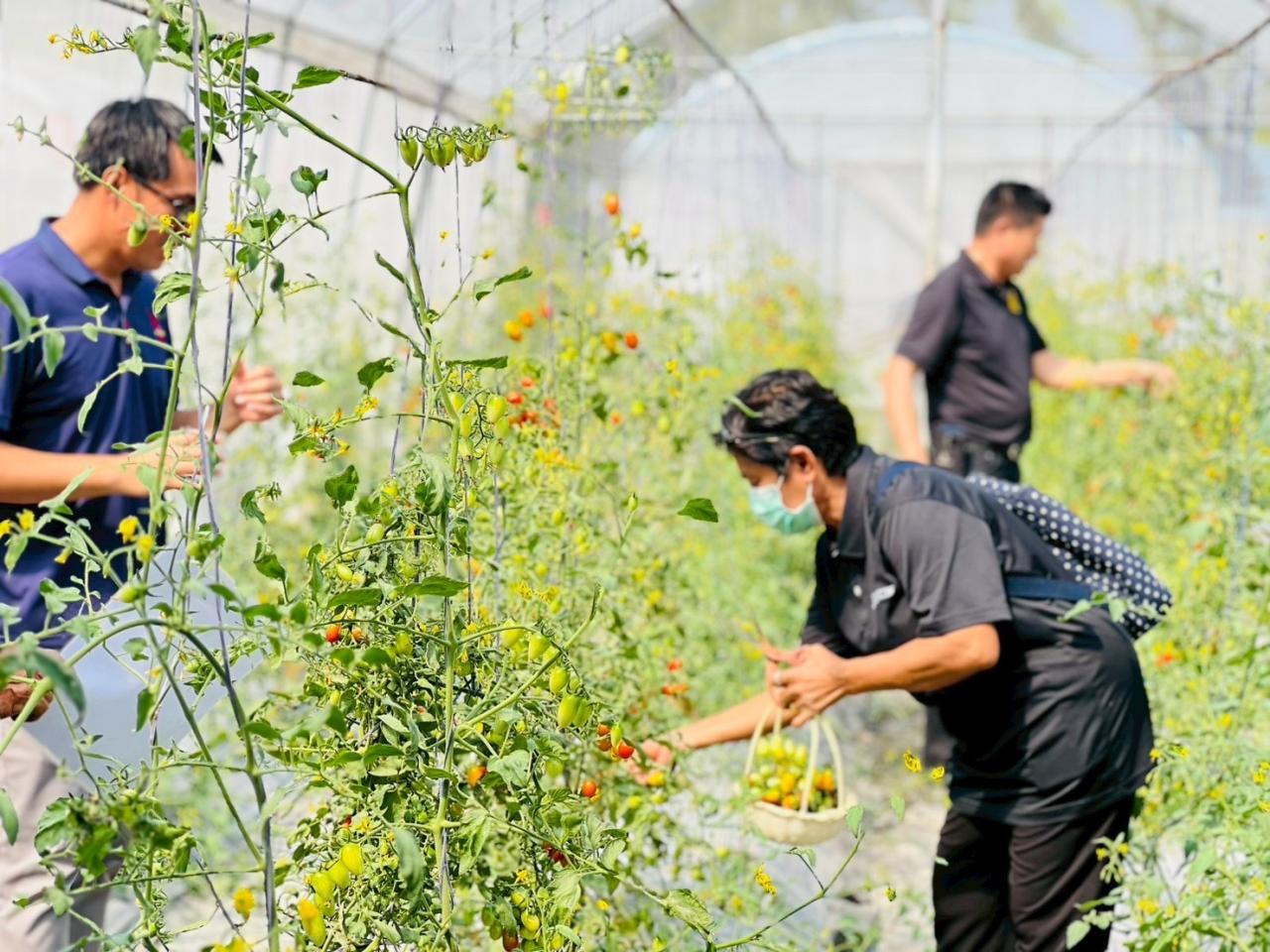 ภาพประกอบที่ 7