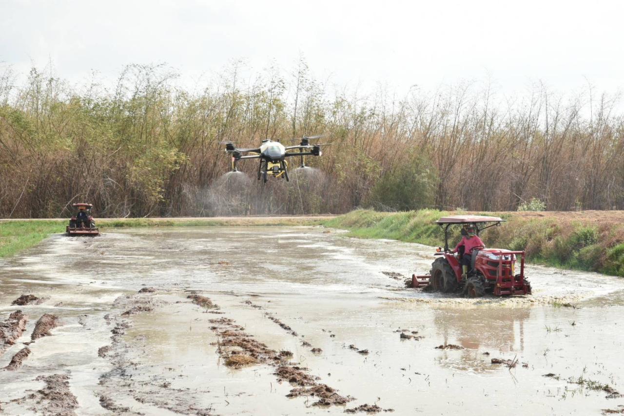 ภาพประกอบที่ 4