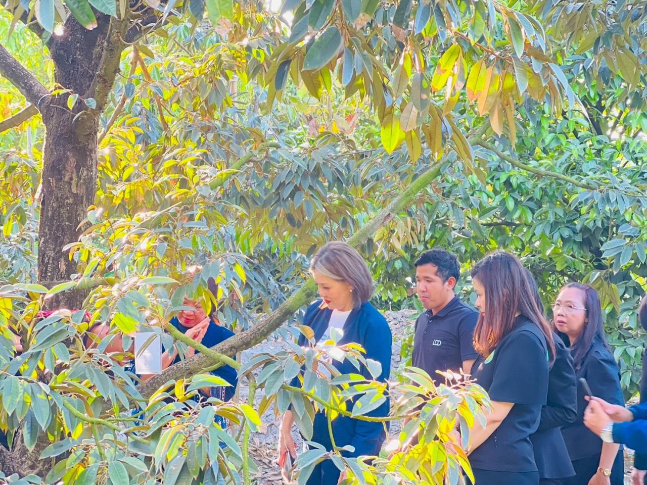 ภาพประกอบที่ 4