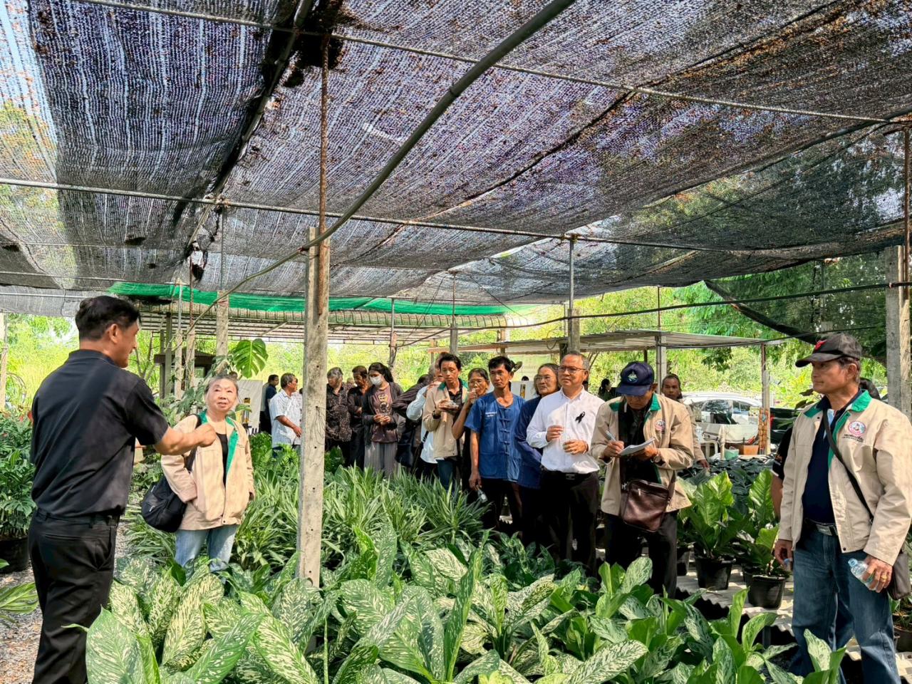 ภาพประกอบที่ 3