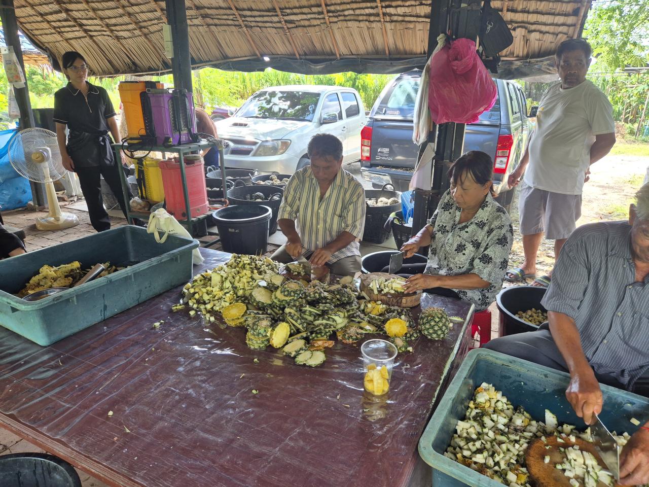 ภาพประกอบที่ 6