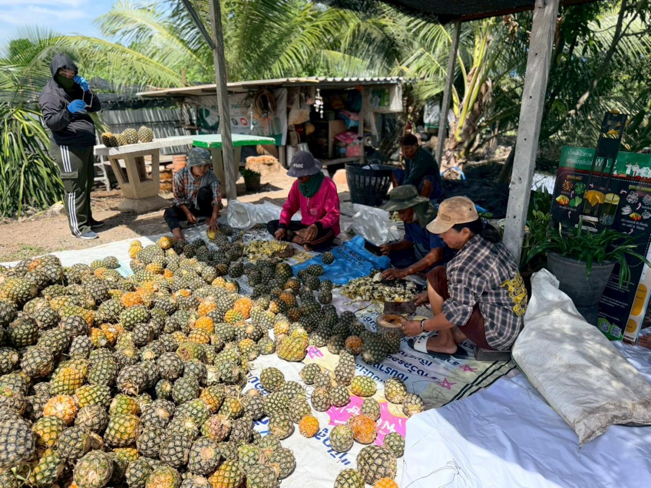 ภาพประกอบที่ 2