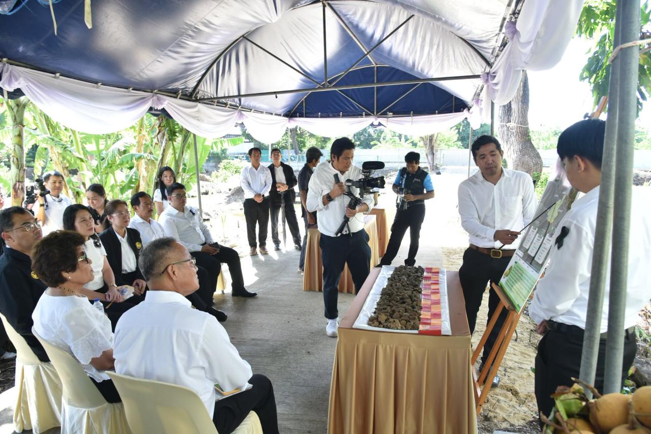 ภาพประกอบที่ 7