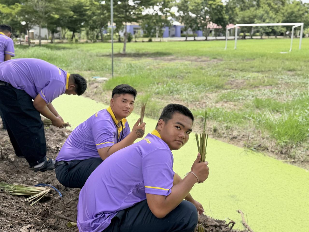 ภาพประกอบที่ 5
