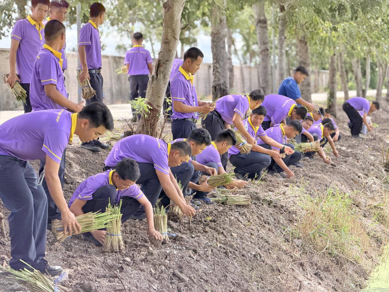 ภาพประกอบที่ 8