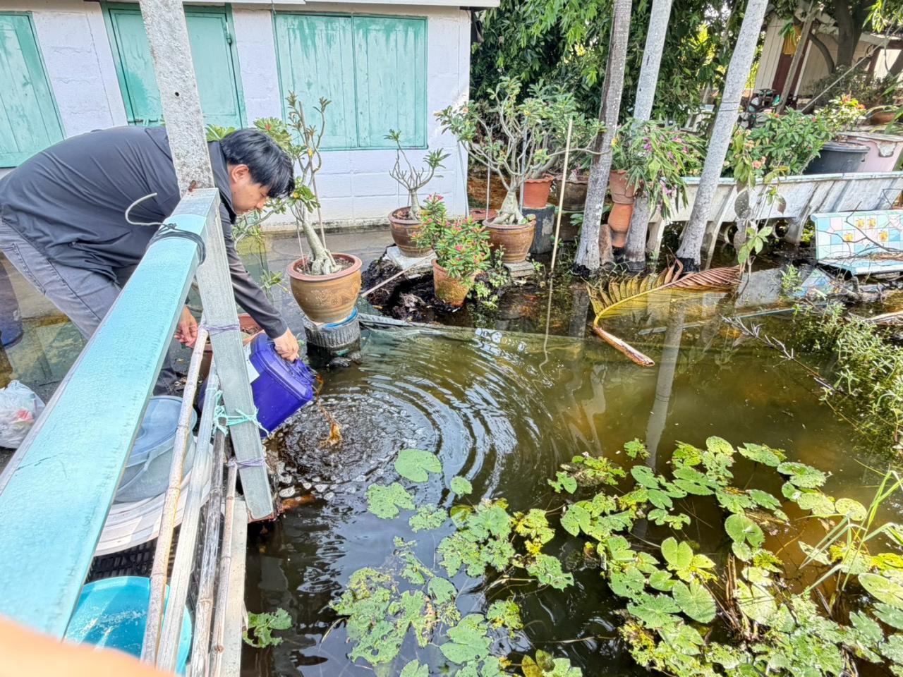 ภาพประกอบที่ 4