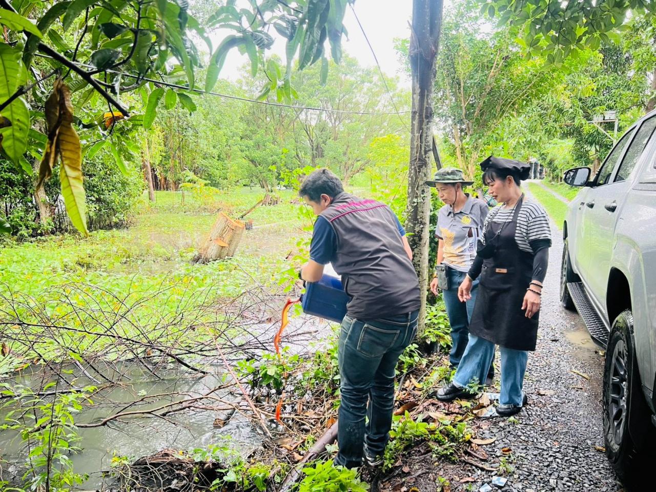 ภาพประกอบที่ 5