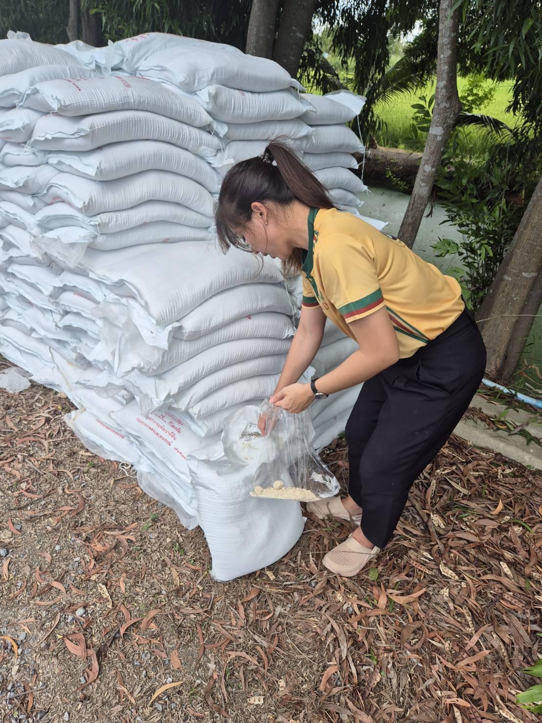 ภาพประกอบที่ 3