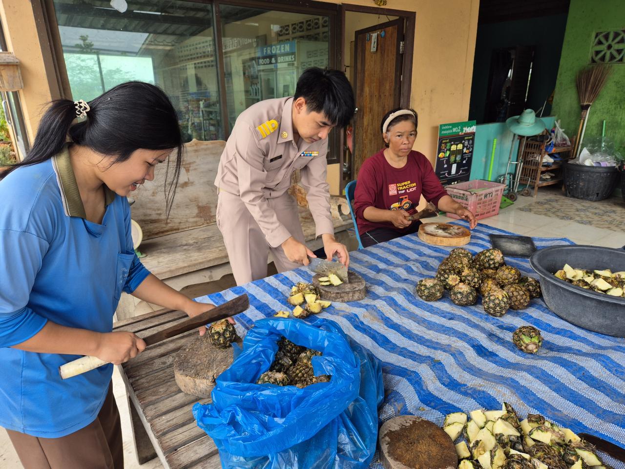 ภาพประกอบที่ 0