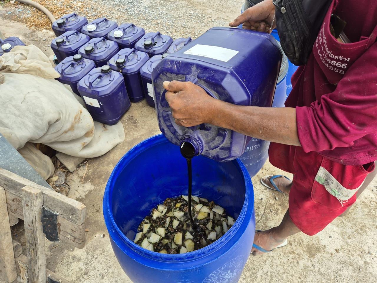 ภาพประกอบที่ 4
