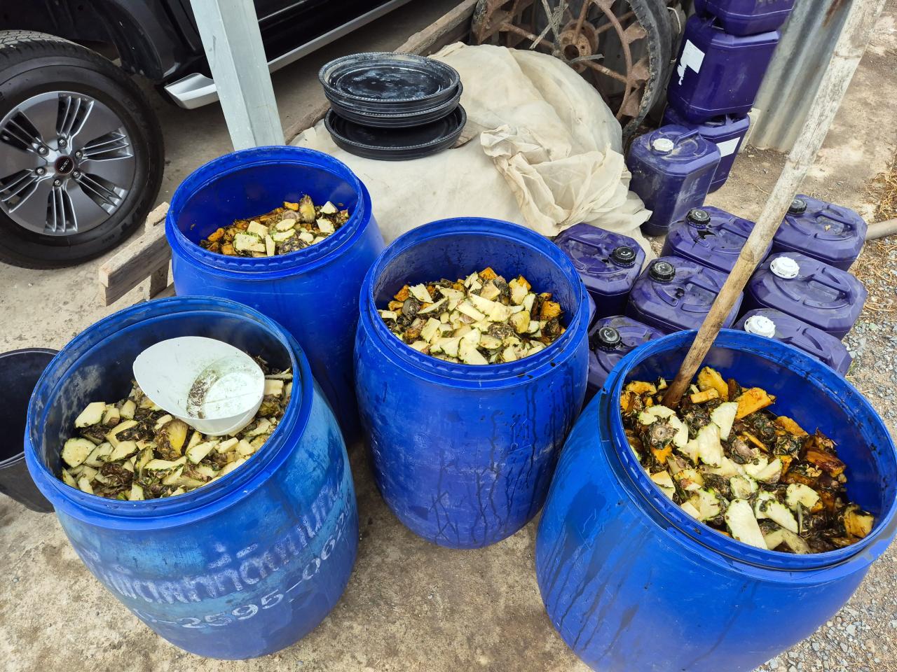 ภาพประกอบที่ 5