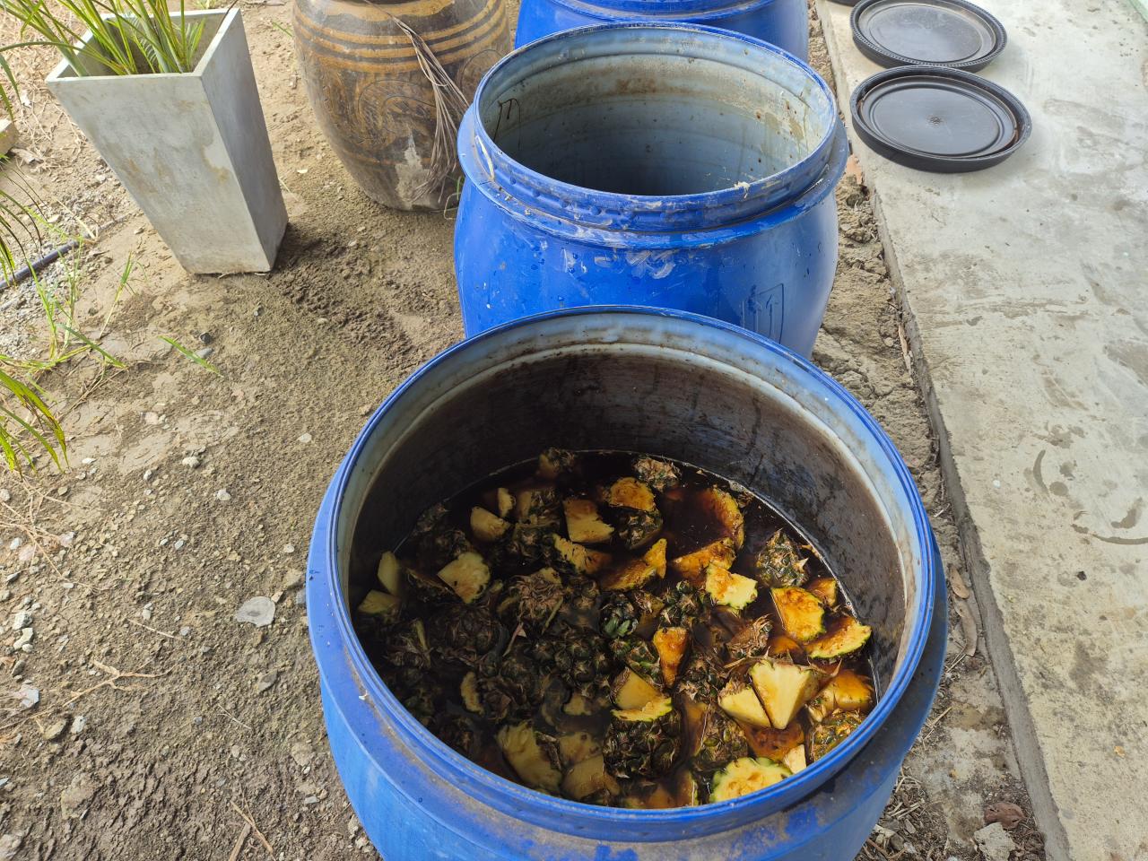 ภาพประกอบที่ 6