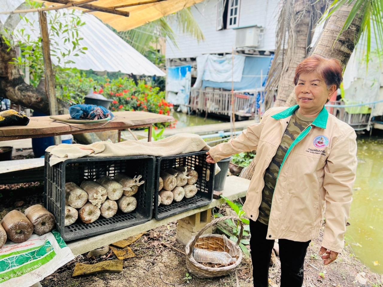ภาพประกอบที่ 4