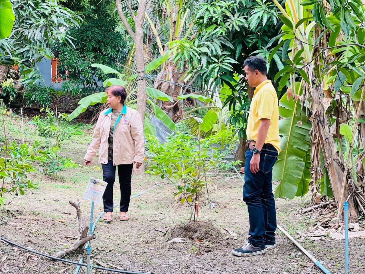 ภาพประกอบที่ 6