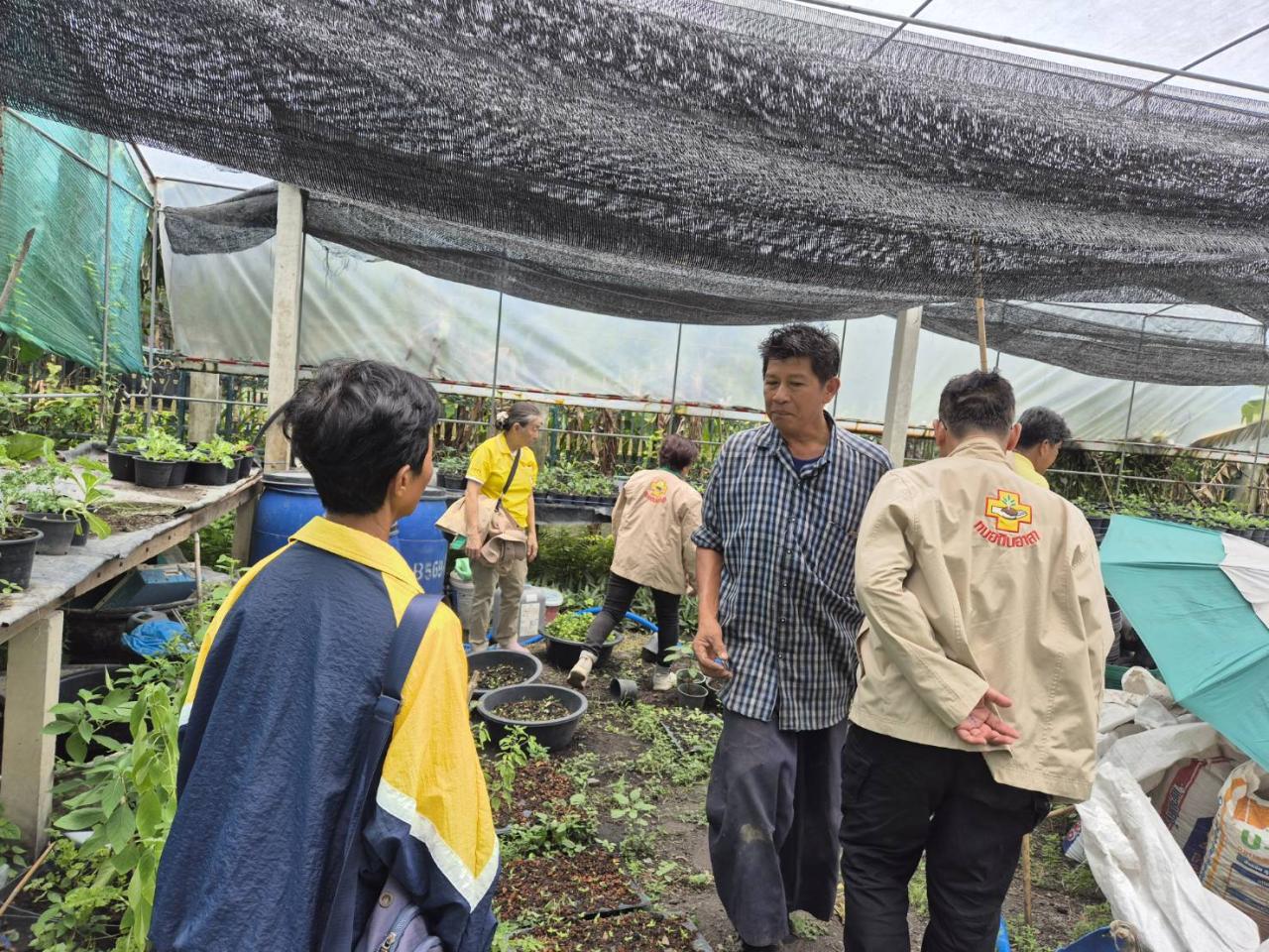 ภาพประกอบที่ 4