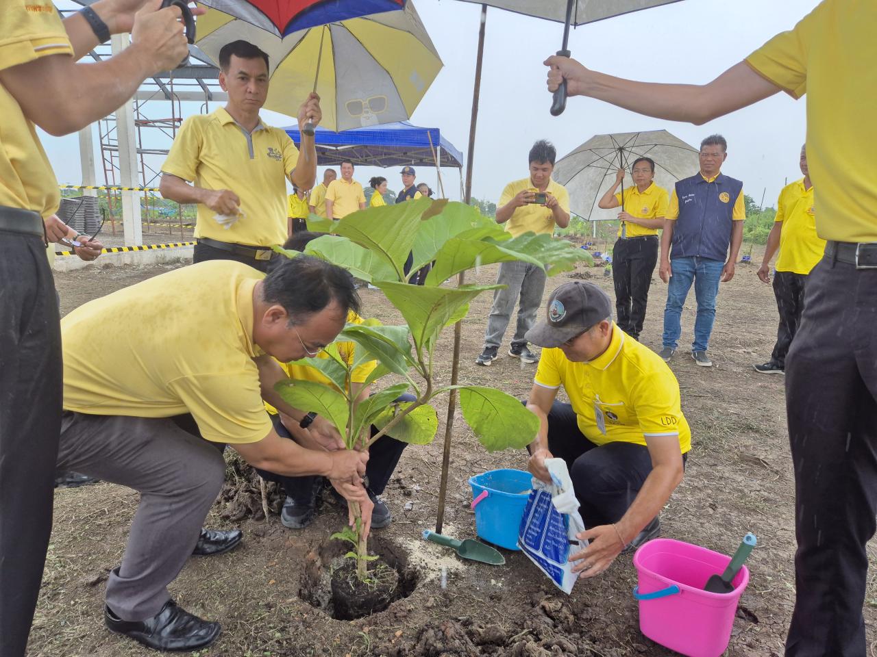 ภาพประกอบที่ 3