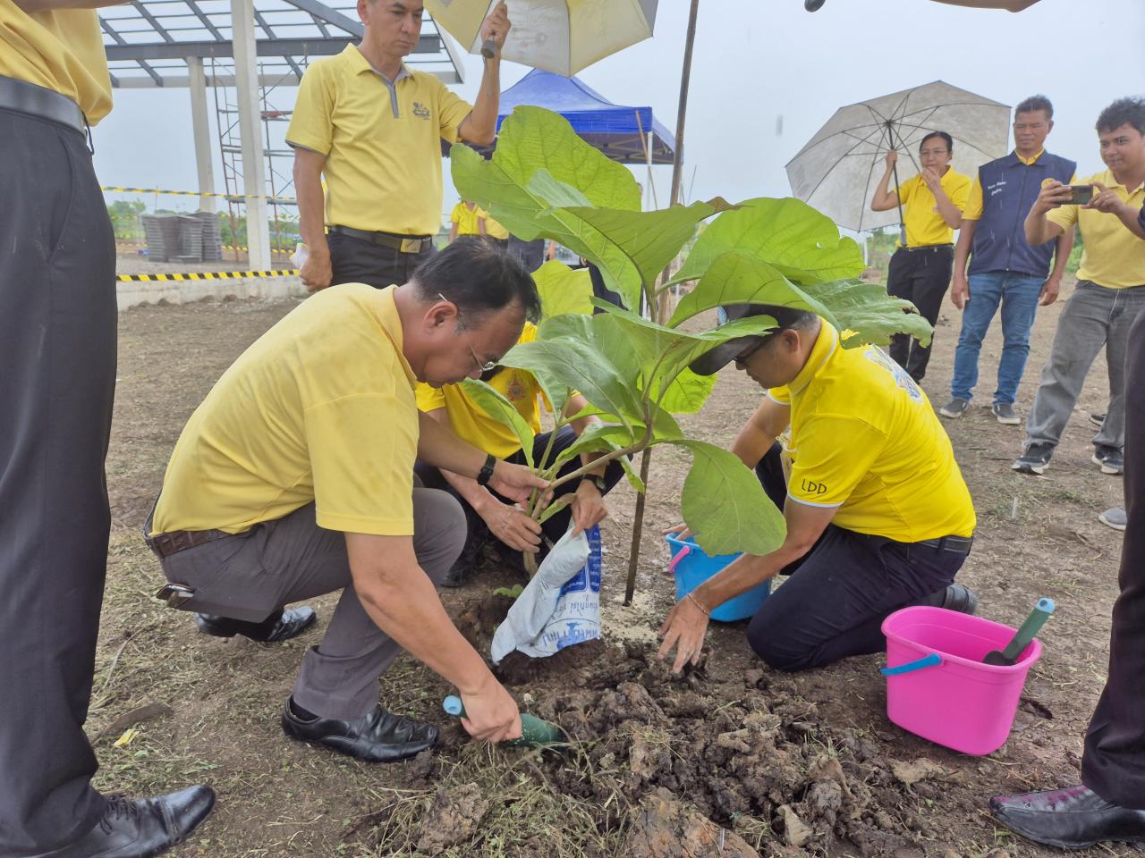 ภาพประกอบที่ 4