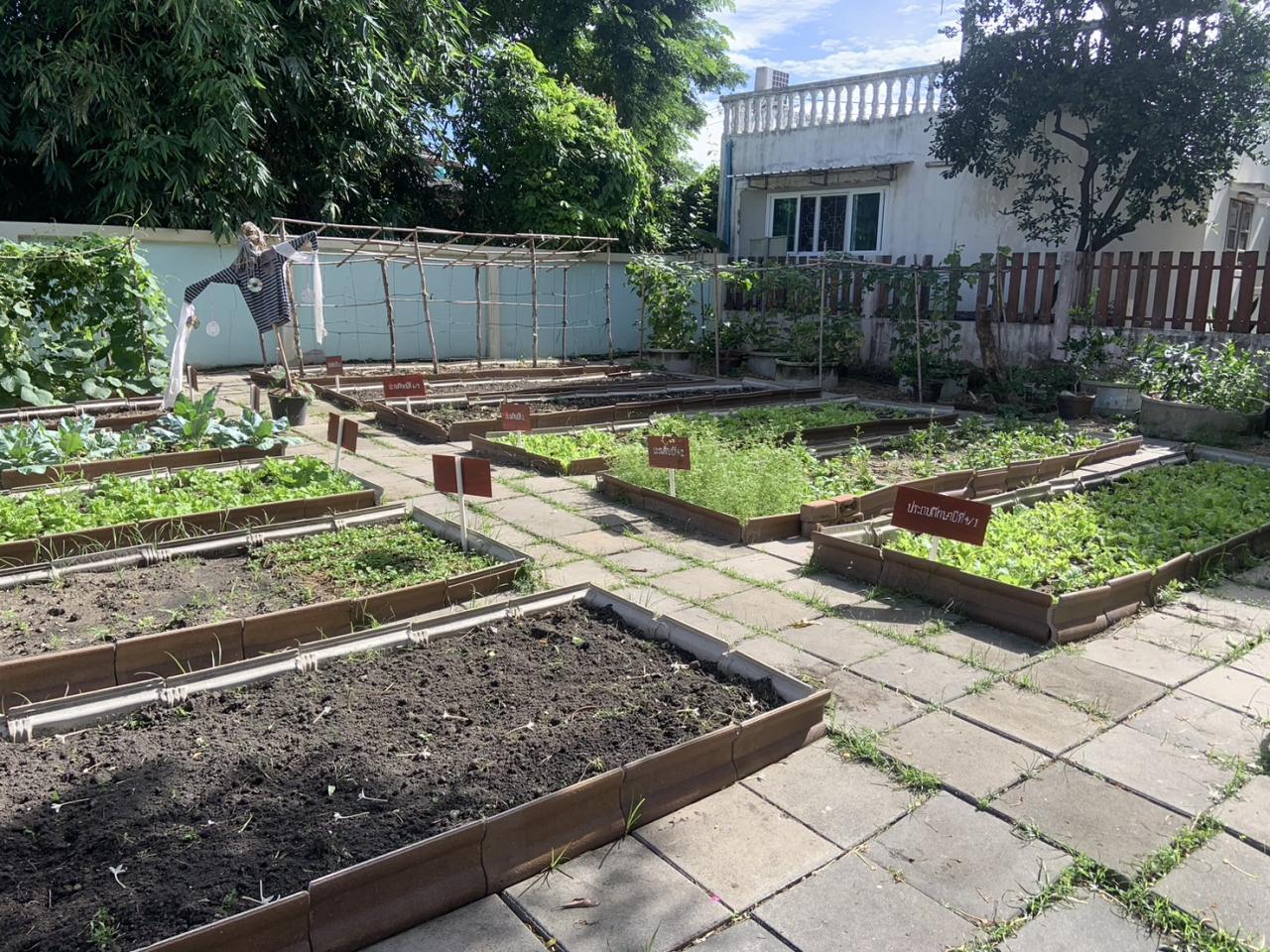 ภาพประกอบที่ 6