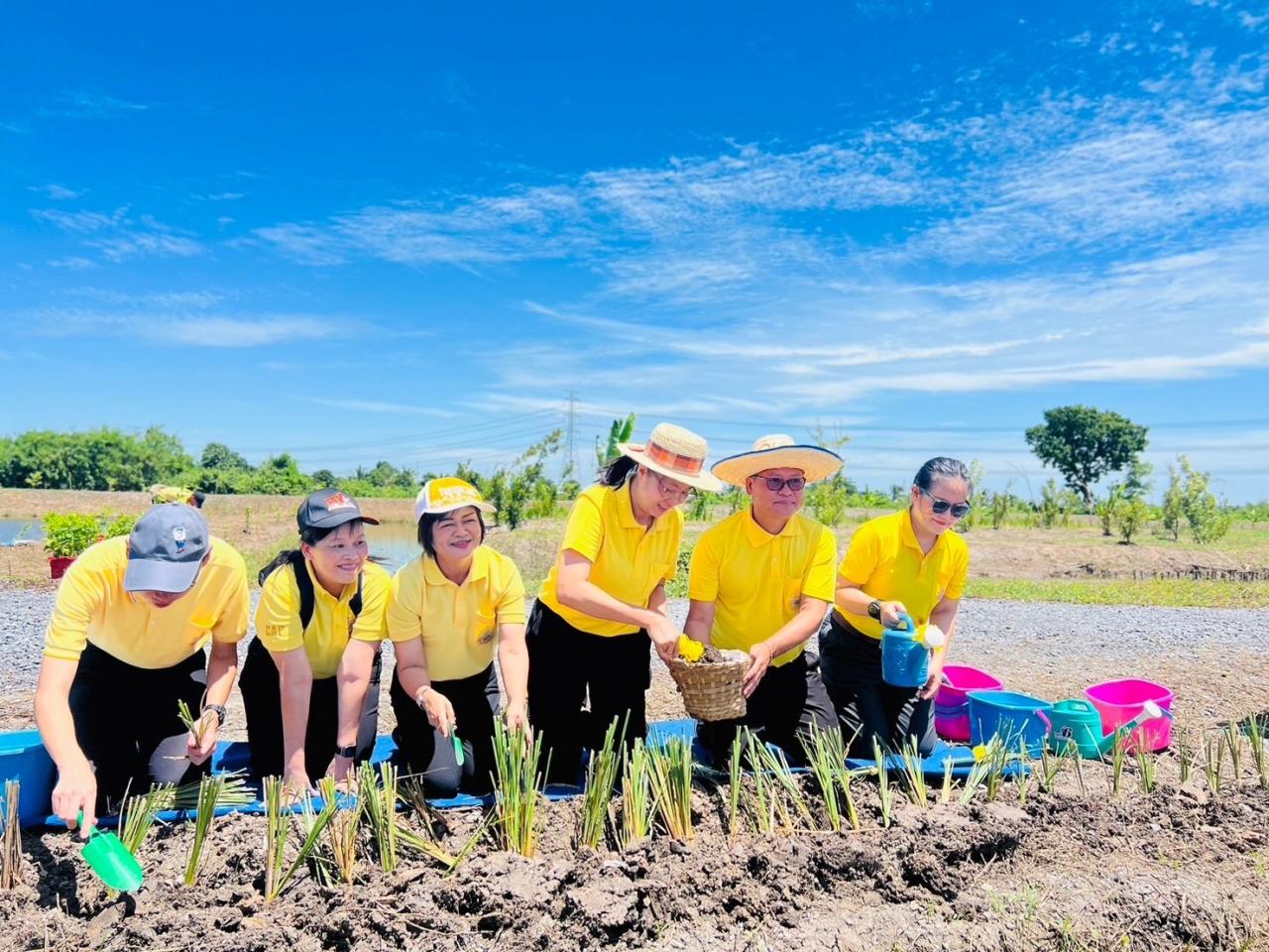 ภาพประกอบที่ 1