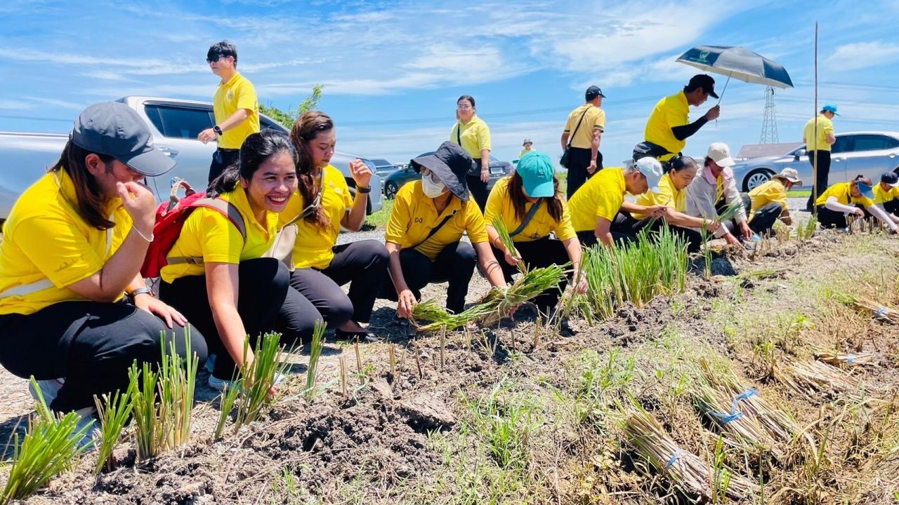 ภาพประกอบที่ 6