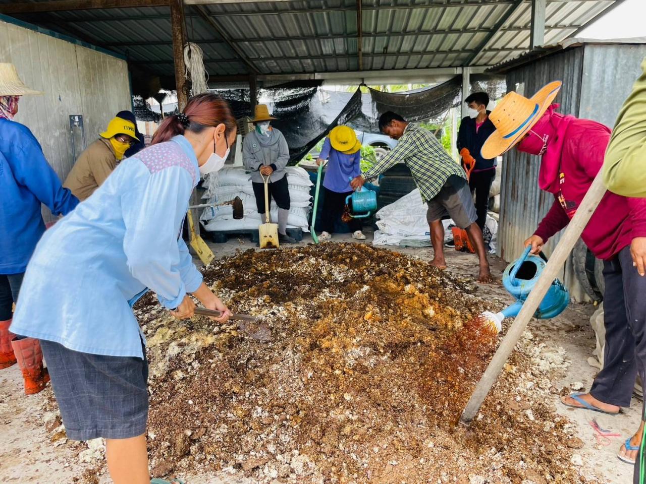 ภาพประกอบที่ 3