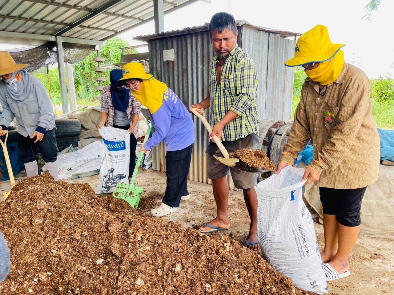 ภาพประกอบที่ 4