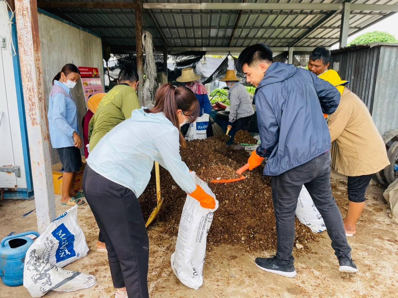 ภาพประกอบที่ 5