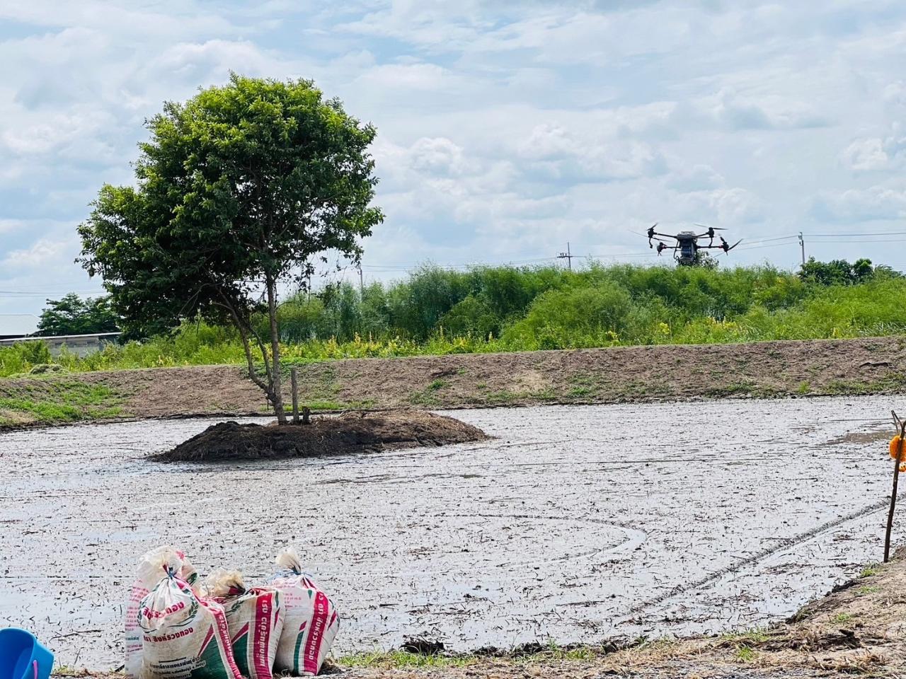 ภาพประกอบที่ 5