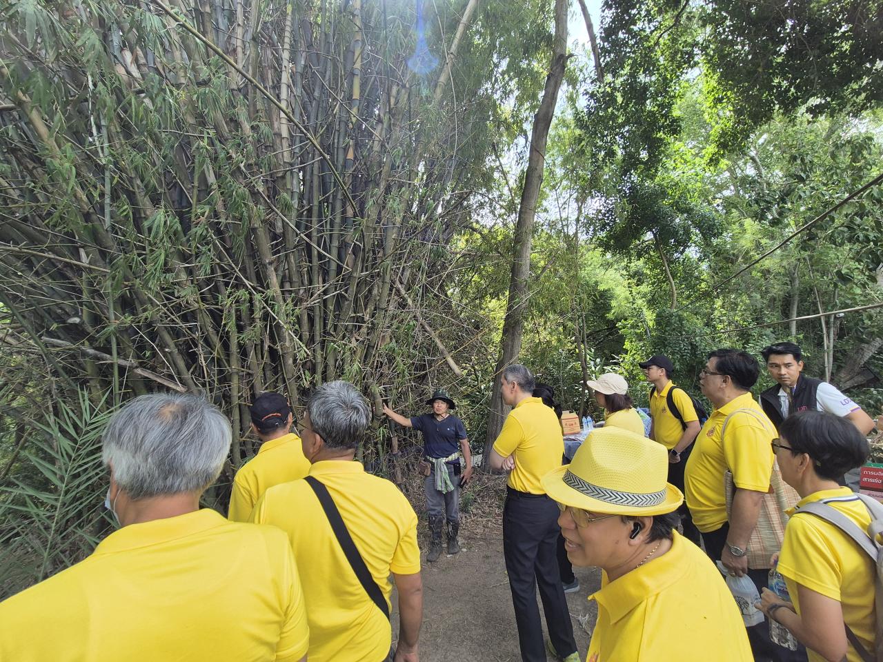 ภาพประกอบที่ 3