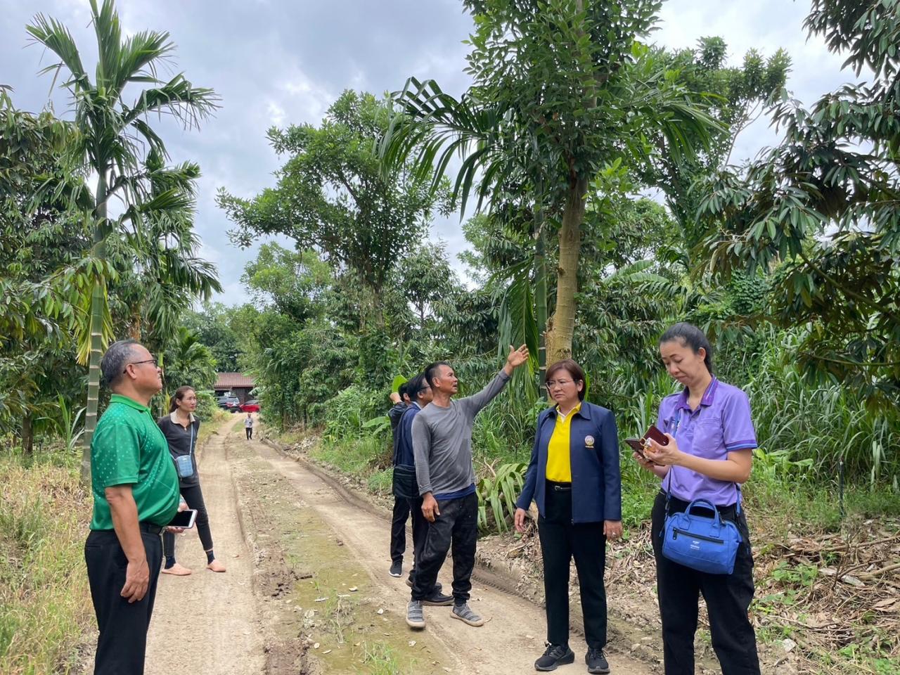 ภาพประกอบที่ 4