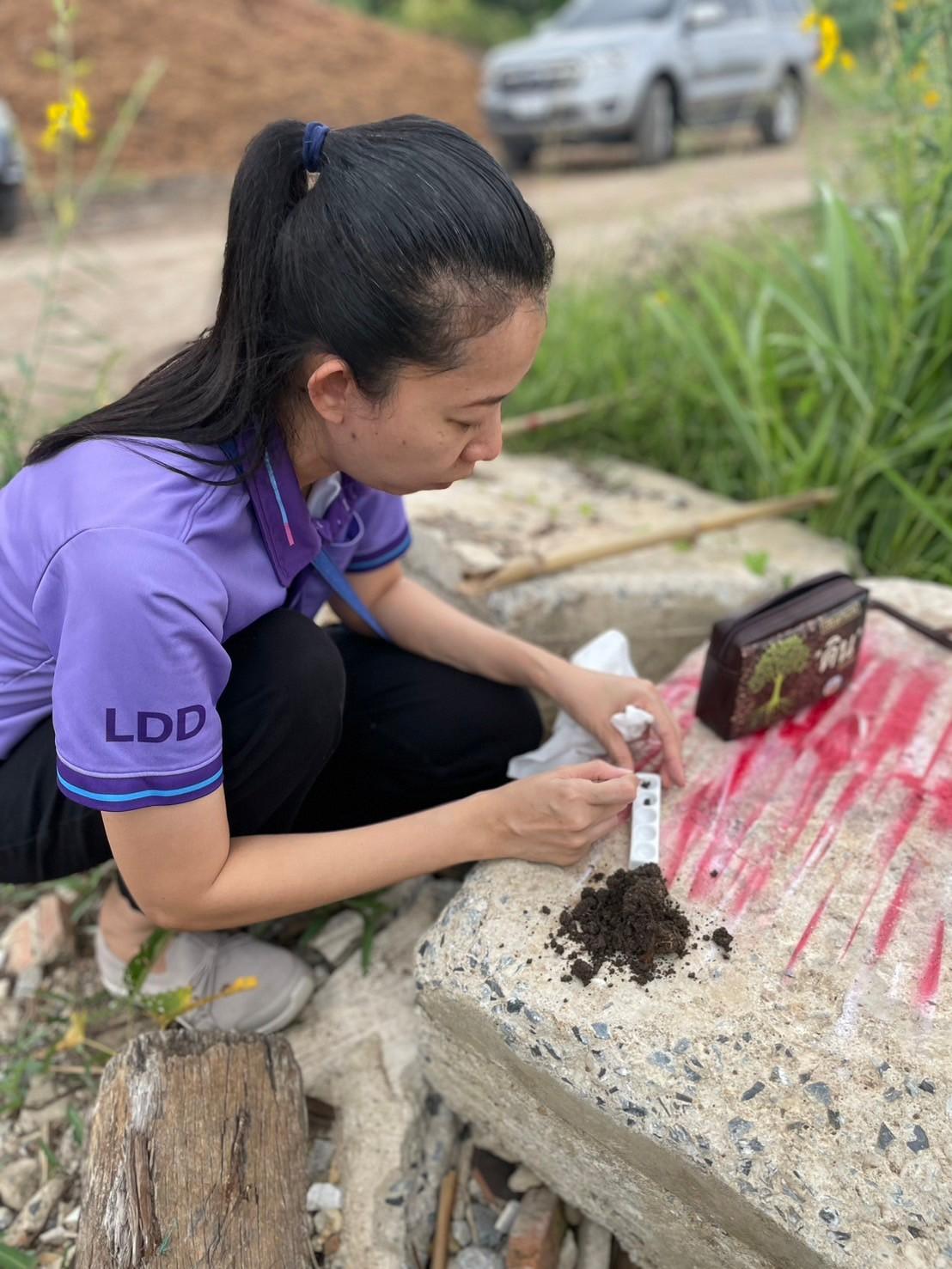 ภาพประกอบที่ 6