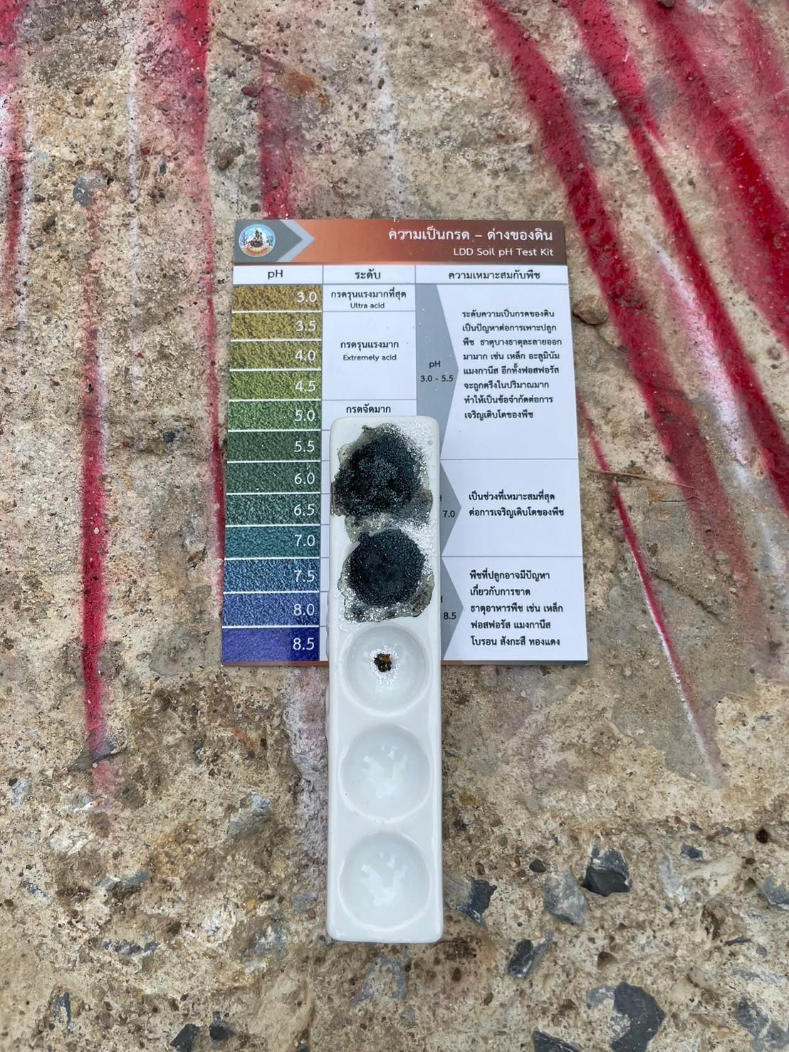 ภาพประกอบที่ 7