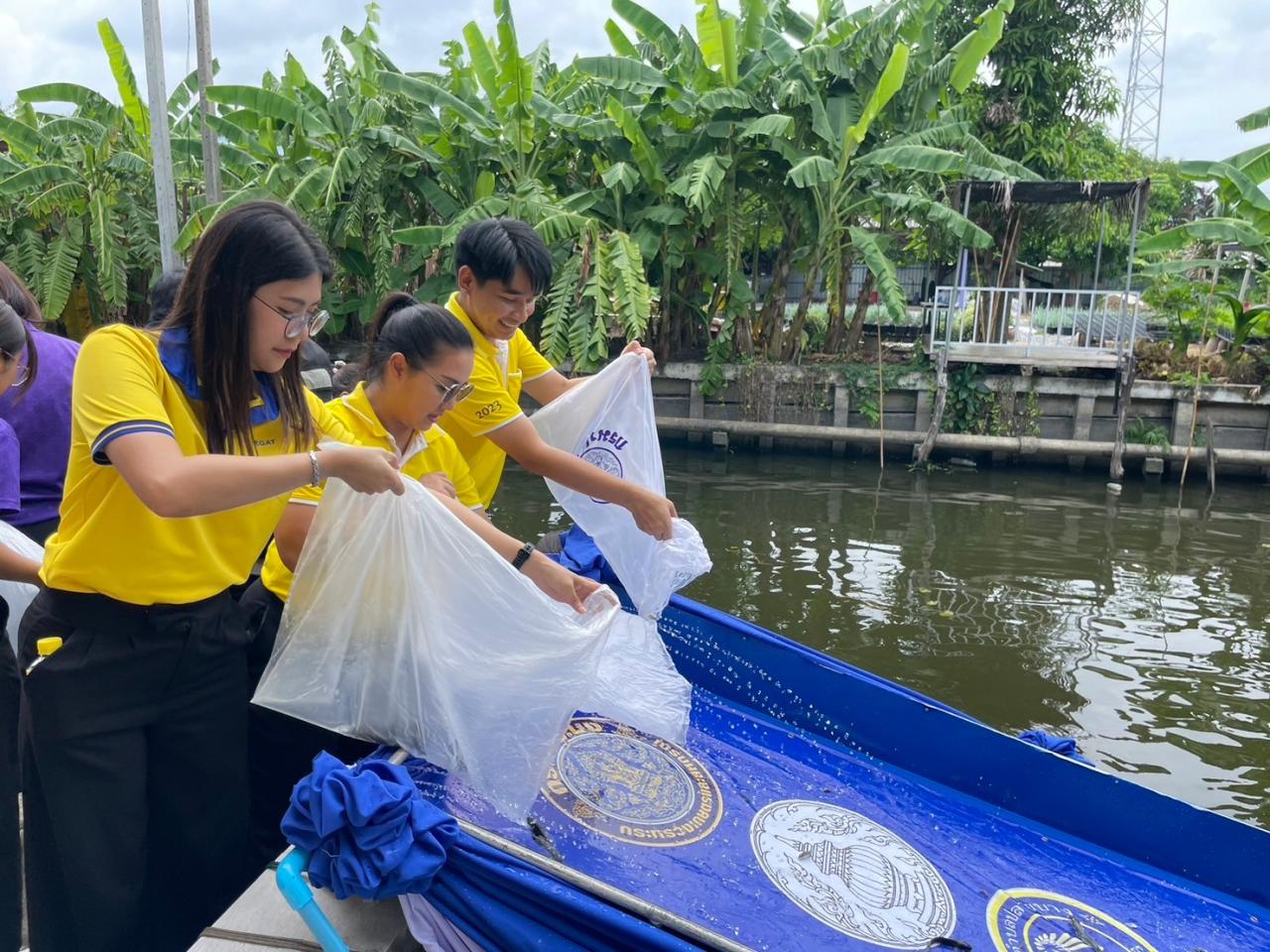 ภาพประกอบที่ 4