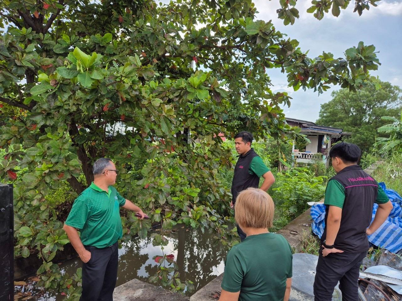 ภาพประกอบที่ 0