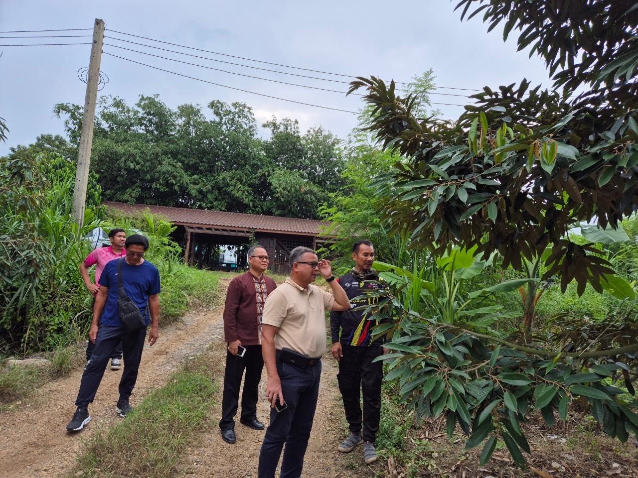 ภาพประกอบที่ 3