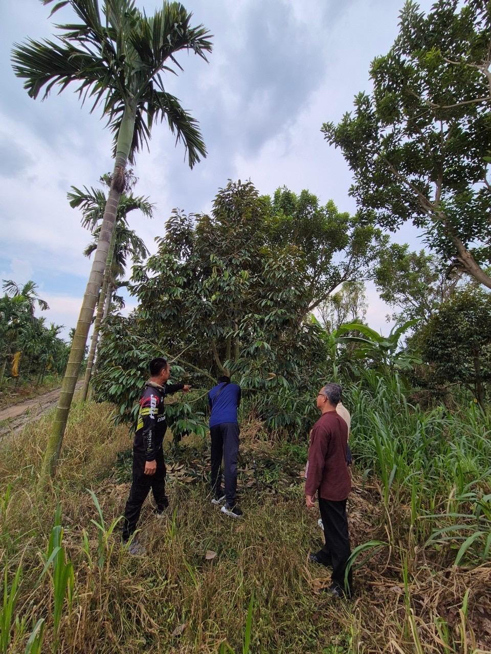 ภาพประกอบที่ 6