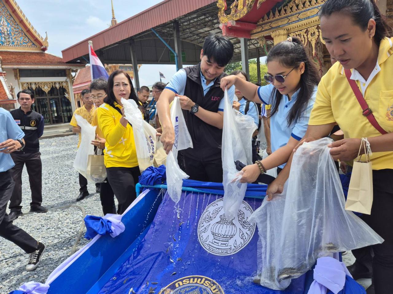 ภาพประกอบที่ 3