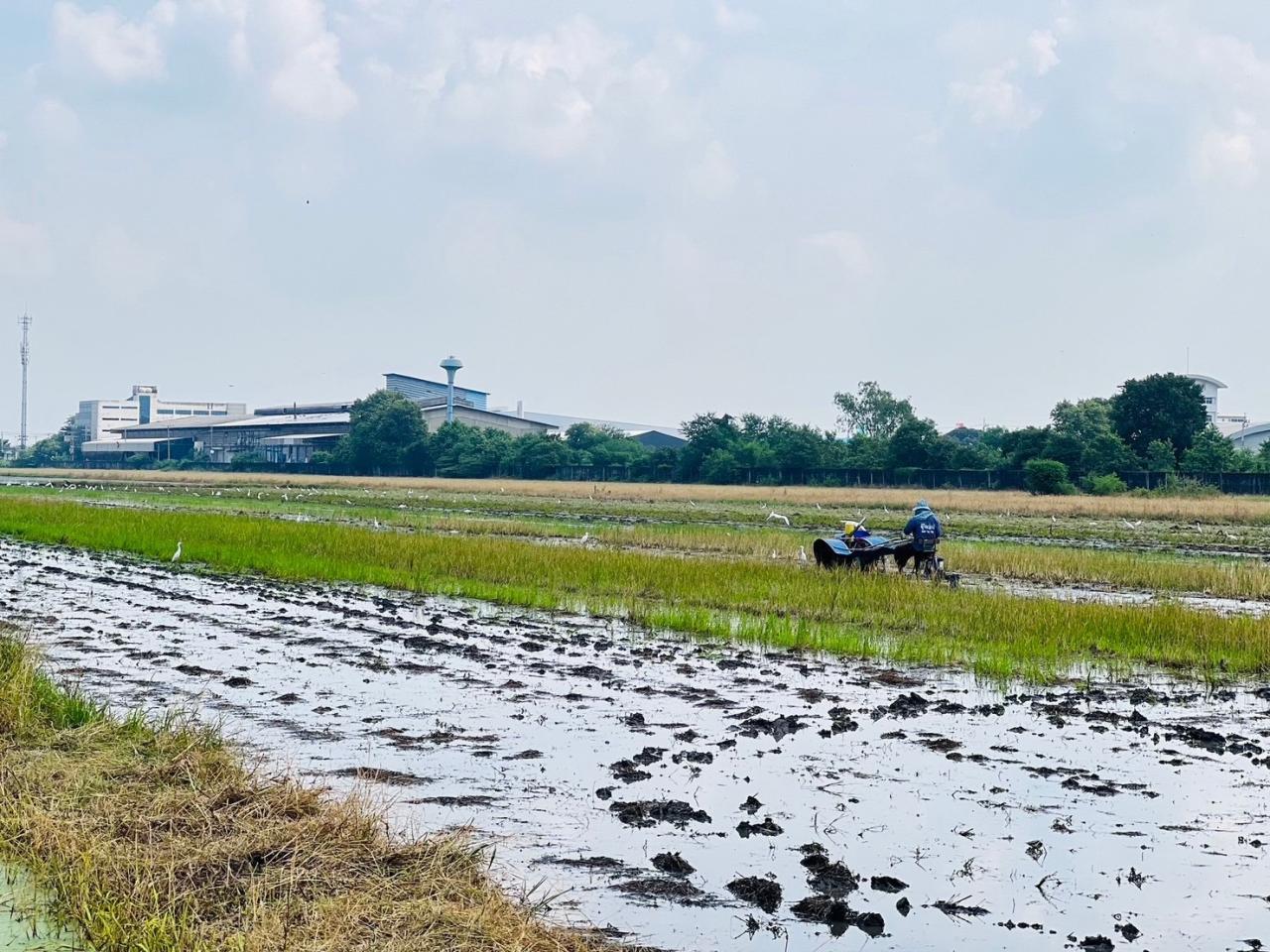 ภาพประกอบที่ 3