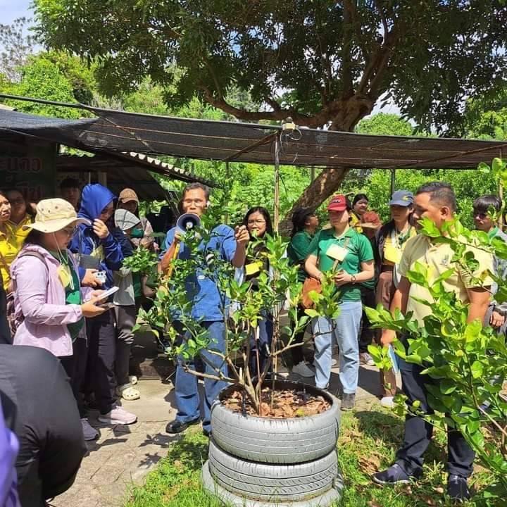 ภาพประกอบที่ 7